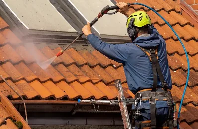 Démoussage et hydrofuge de toiture à Genlis
